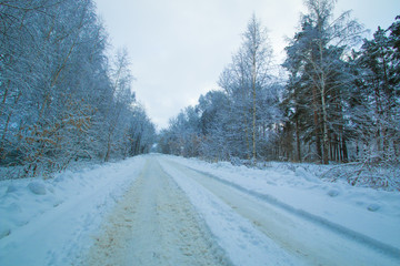 winter road in the forest twilight track