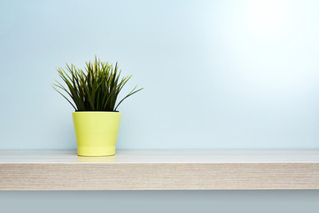 Mensola in legno su fondo grigio con pianta