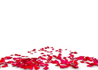 Fototapeta premium Czerwone płatki róż rozsypane na podłodze