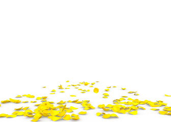 Yellow rose petals scattered on the floor