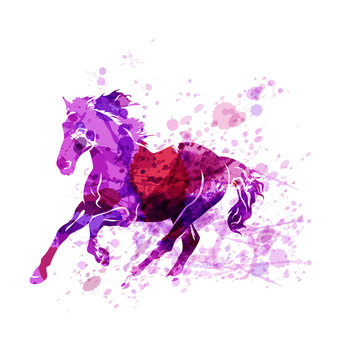 Vector illustration of running horse