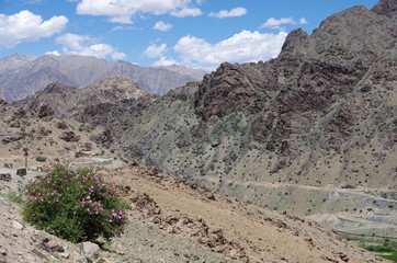 Landscape in Ladakh, India