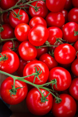 Pile of Tomatoes, Focus techniaue and Vignett effect