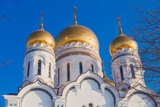 Golden domes of the Church  Winter