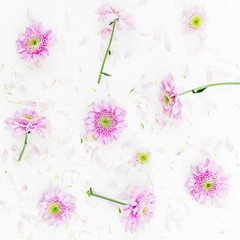 Floral pattern of pink flowers isolated on white background, Flat lay, Top view. Valentine's background. 