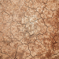 Dry cracked earth texture