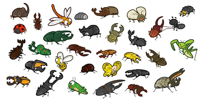 世界のカブトムシとクワガタムシ