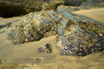 rock and sand