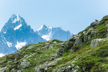 Fototapeta na wymiar Boulder field and grassy meadows in the French Alps above Chamonix.