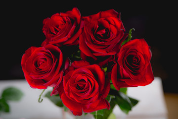 Beautiful valentines roses on dark background