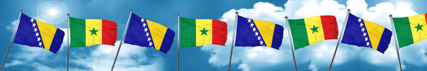 Bosnia and Herzegovina flag with Senegal flag, 3D rendering