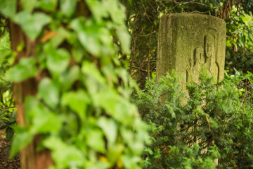 Grave stone surrounded by bushes featuring Mary in a forest cemetery in Germany