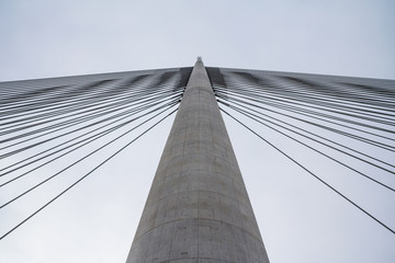 Obraz premium Ada Bridge main pylon seen from the ground - Belgrade - Serbia.