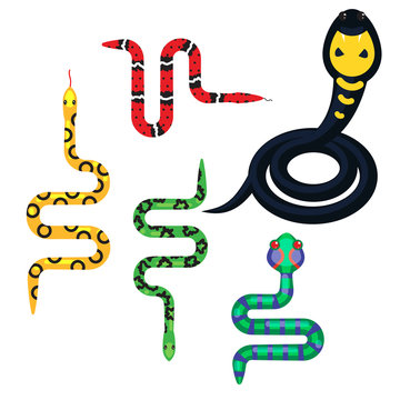 Snake cartoon vector set illustration on white. Serpent desert animal. Cobra and viper poisonous reptiles.