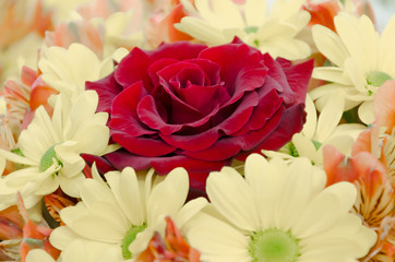 Fototapeta premium A bouquet of flowers with a focus on the rose.