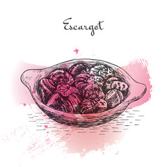 Escargot watercolor effect illustration.