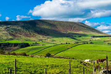 Scenic view on Pendle Hill, Summer, blue sky and white clouds, Forest Of Bowland, Lancashire, England, UK