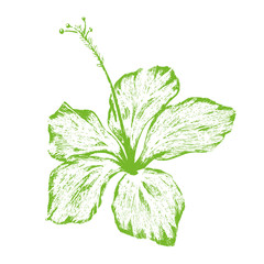 Green Flower 4