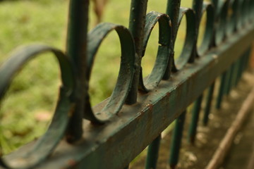 An elegant view of a fence