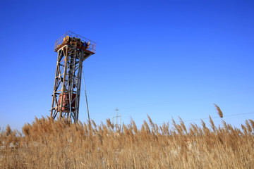 Fototapeta na wymiar Oil field scene,Tower type pumping unit under the blue sky