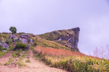 Mountain view of Phu Chi Fa at Chiangrai province