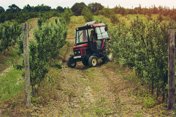 Obraz premium Excavator in the vineyard