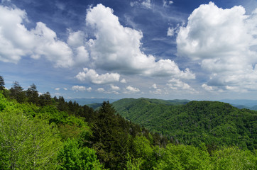 Obraz premium Great Smoky Mountains