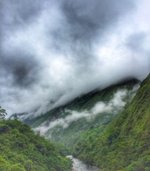 Mountain Fog