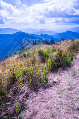 Mountain view of Phu Chi Fa at Chiangrai province