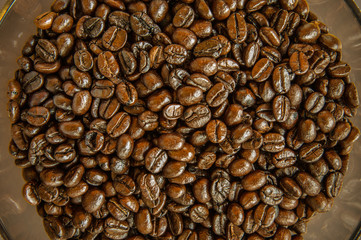 coffee beans background