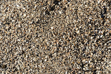 Broken shell and pebble beach