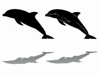 silhouette dolphin, vector draw