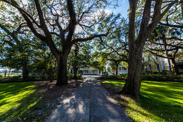 Fototapeta na wymiar A Warm day at Forsyth Park in Savannah, Georgia Shaded by Magnol