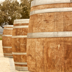 Naklejka premium Row of wine barrels, toned in sepia