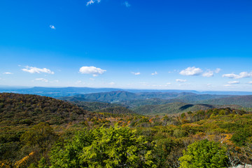 Colorful Leaves in Shenandoah National Park During high Fall Col