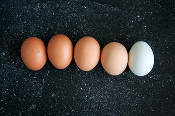 Monochrome eggs over black background