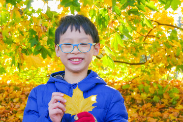 Young asian boy with yellow leave in autumn park