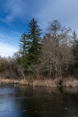 Obraz premium Beaver Pond In Winter