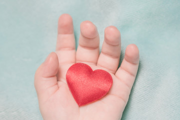 Obraz premium Red heart in the hand of a baby on a blue background