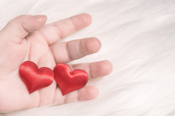 Red heart in the hand of a baby on white fur background
