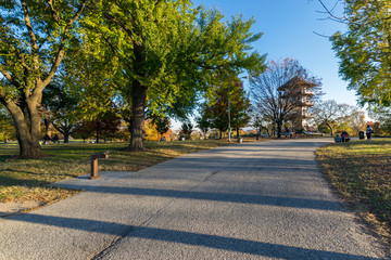 Patterson Park During Autumn in Baltimore, Maryland