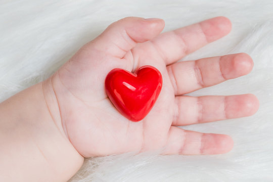 Red heart in the hand of a baby on white fur background