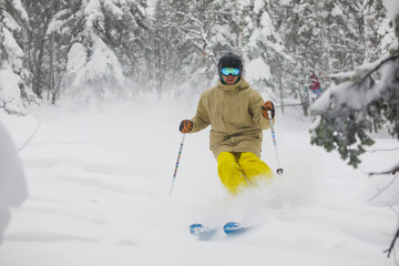 Freeride skier in the forest