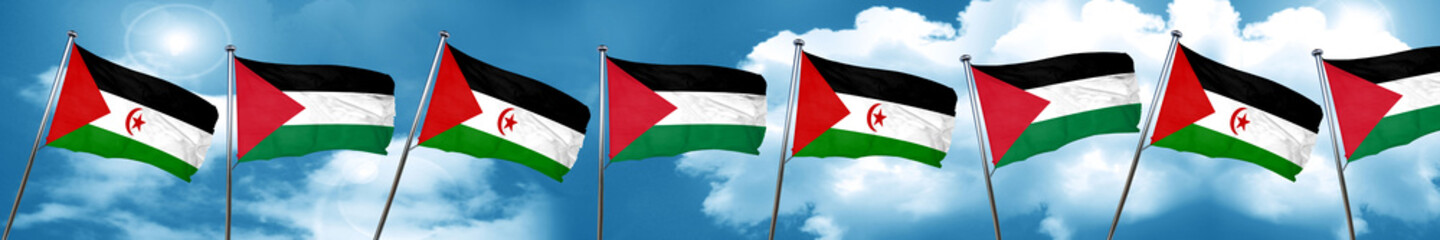 Western sahara flag with Palestine flag, 3D rendering