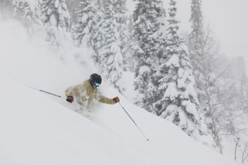 Freeride skier in the forest