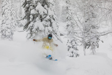 Freeride skier in the forest