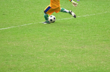 soccer goalkeeper 
