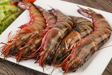 Raw big tiger prawn