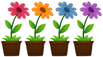 Flowers in pots on white