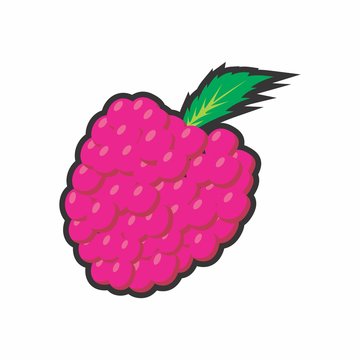 Rasberry Vector Icon